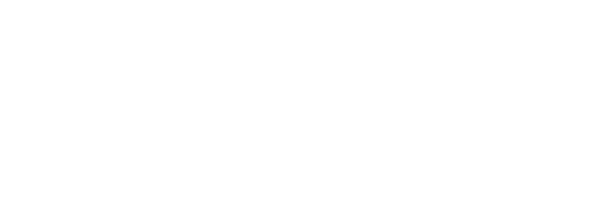 Audi logo