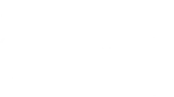 sports logo