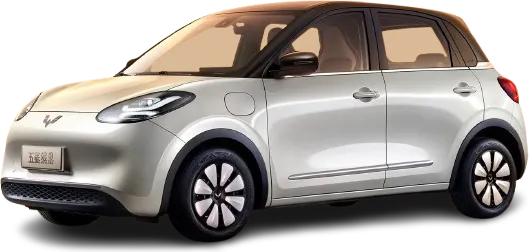 Wuling Binguo EV